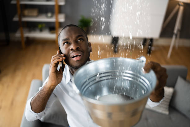 Best Water damage contractors near me  in Waymart, PA