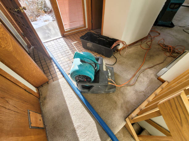 Best Professional water damage repair  in Waymart, PA