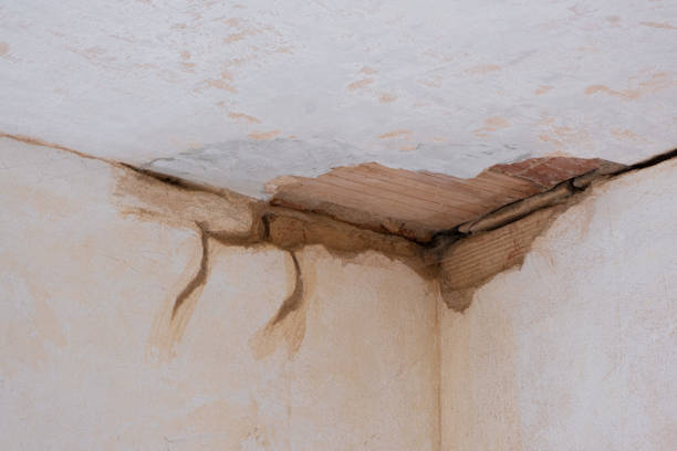Best Ceiling water damage repair  in Waymart, PA