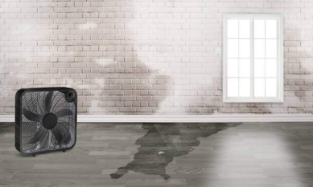 Best Commercial water damage restoration  in Waymart, PA
