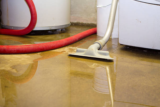 Best Flooded house restoration  in Waymart, PA